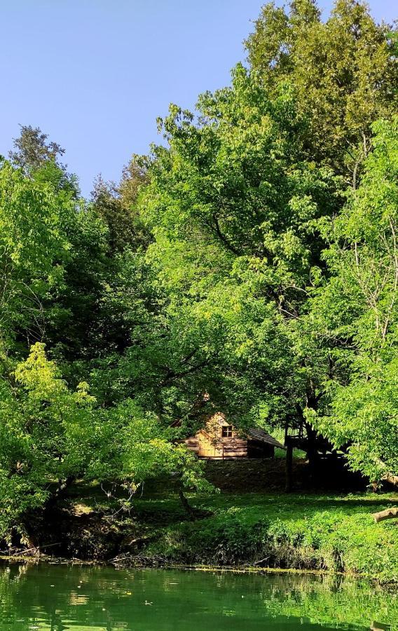 Отель Kolibe - Robinson Camp Kupa Netretic Экстерьер фото
